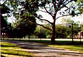 Inwood Park baseball Diamond